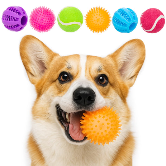 6 Pack of Dog Balls - Treat Balls, Squeaky Tennis & Spikey Balls