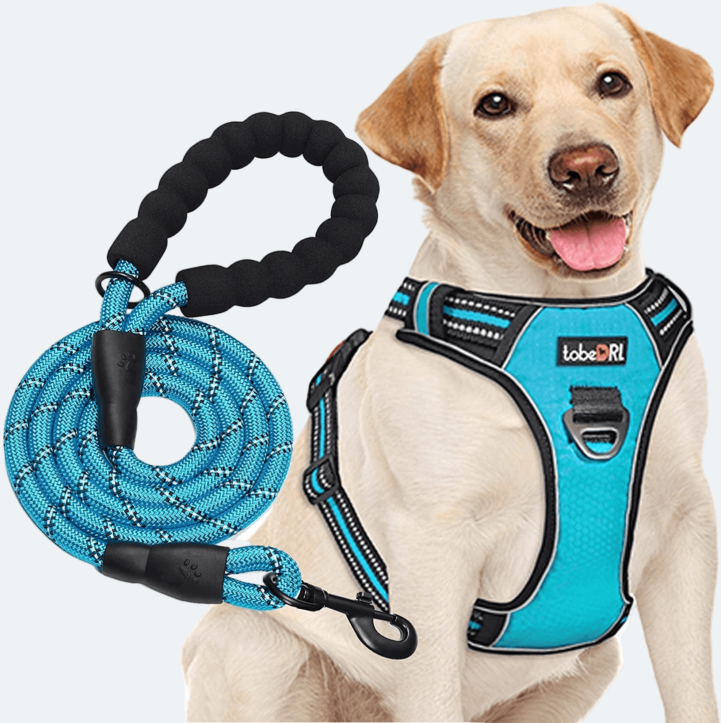 No-Pull Adjustable Harness