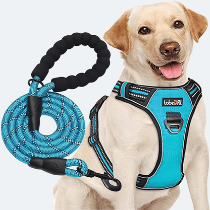 No-Pull Adjustable Harness