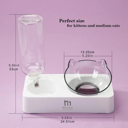Tilted Raised Cat Food Bowl and Gravity Water Bottle with Feeding Mat