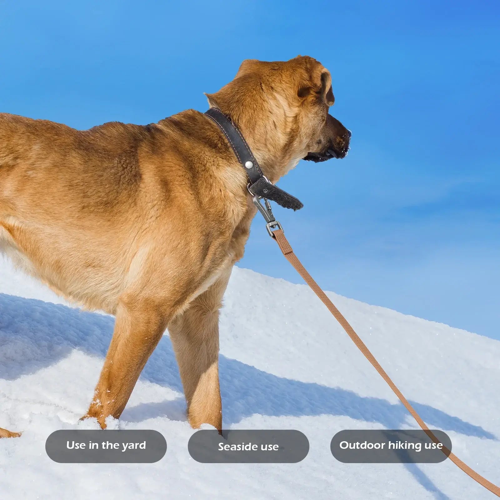 1.8M 3M 5M 10M PVC Dog Leash Large Dog Medium Waterproof and Easy to Clean Running Dog Training Leash Long Strong