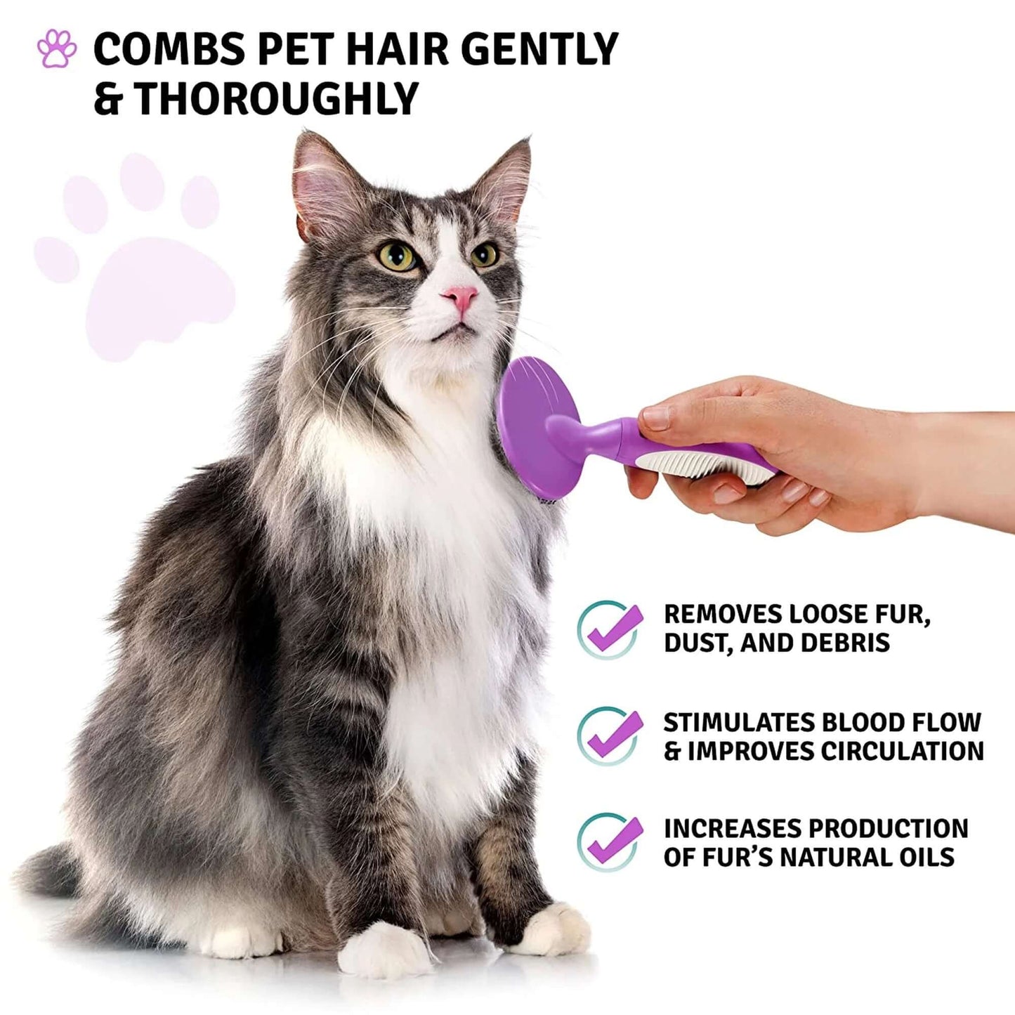 round Soft Bristle Hair Brush Pet Grooming Tool for Dogs & Cats, Purple