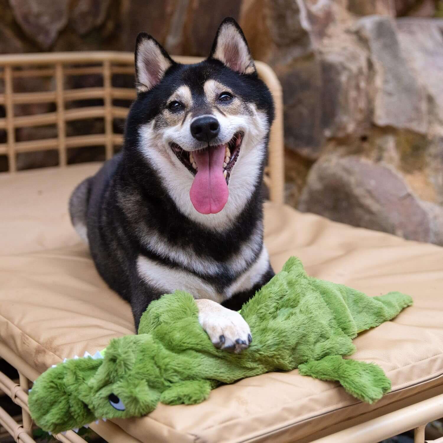 Squeaky Dog Toys with Soft Durable Fabric for Small, Medium and Large Pets Interactive Toy for Indoor Play, Supports Active Biting and Play - 1Wild Duck, Alligator, Medium