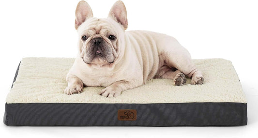 Dog Bed Medium Size Dog - Comfy Flat Puppy Beds with Removable Washable Cover, Orthopedic Egg Crate Foam Pet Mat, Suitable for Pet up to 30 Lbs