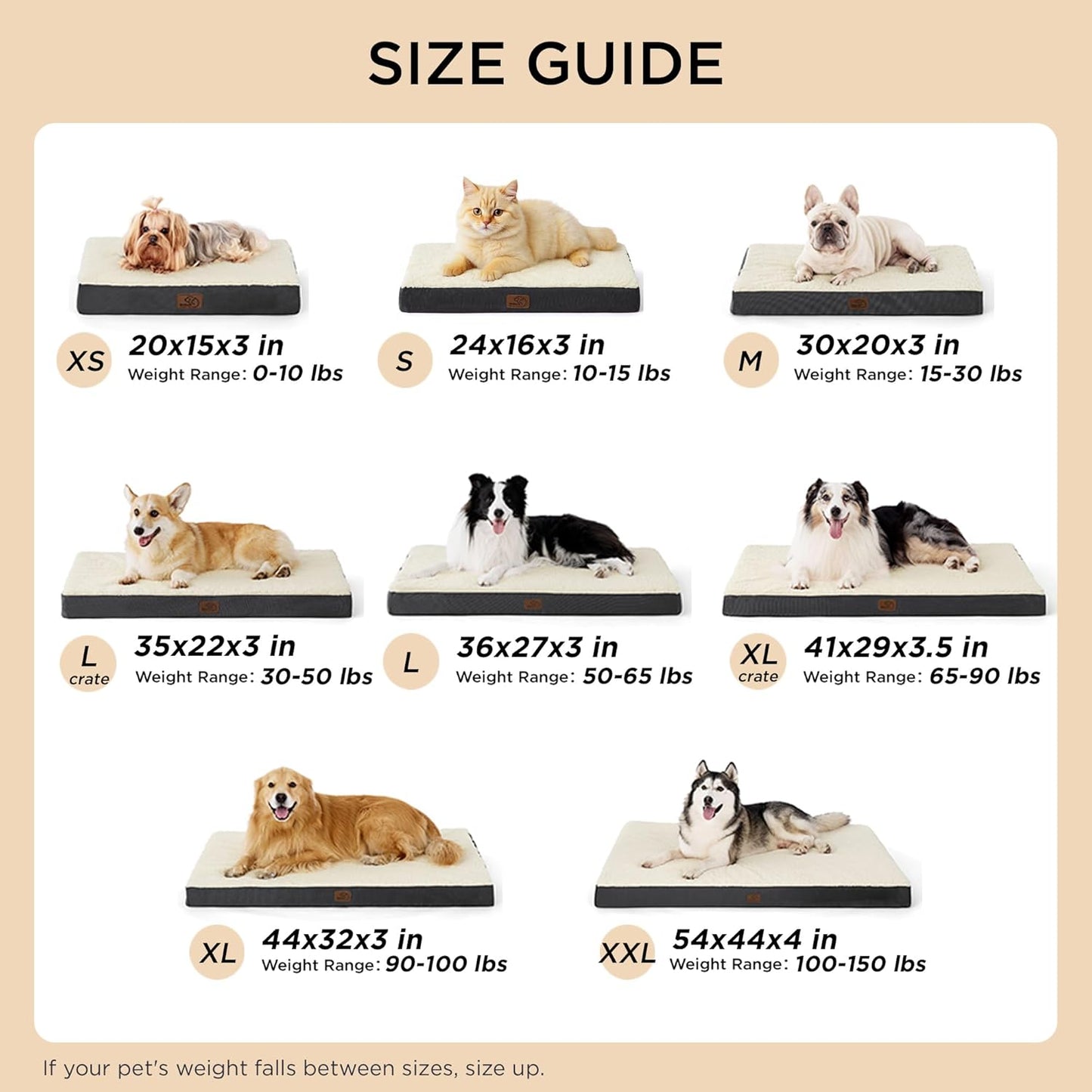 Dog Bed Medium Size Dog - Comfy Flat Puppy Beds with Removable Washable Cover, Orthopedic Egg Crate Foam Pet Mat, Suitable for Pet up to 30 Lbs