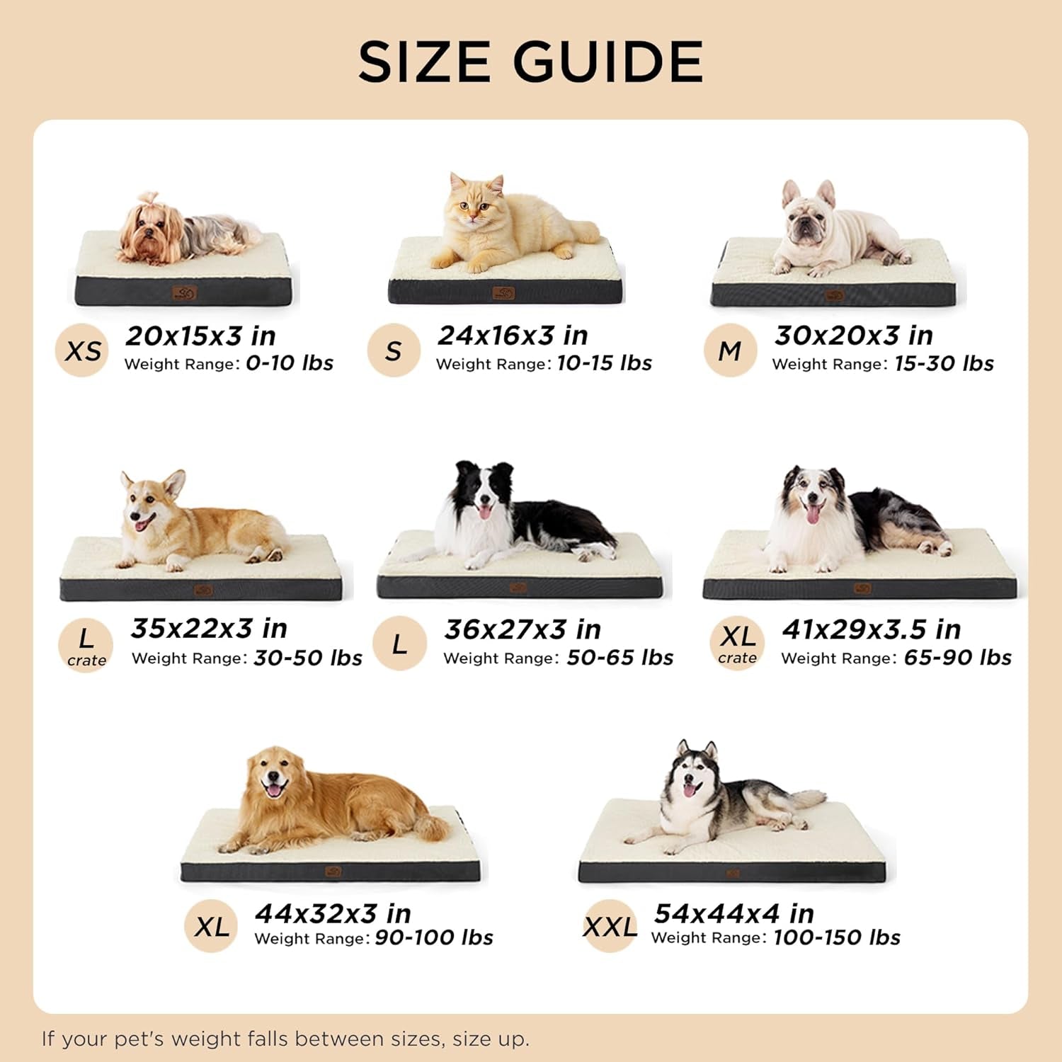 Dog Bed Medium Size Dog - Comfy Flat Puppy Beds with Removable Washable Cover, Orthopedic Egg Crate Foam Pet Mat, Suitable for Pet up to 30 Lbs