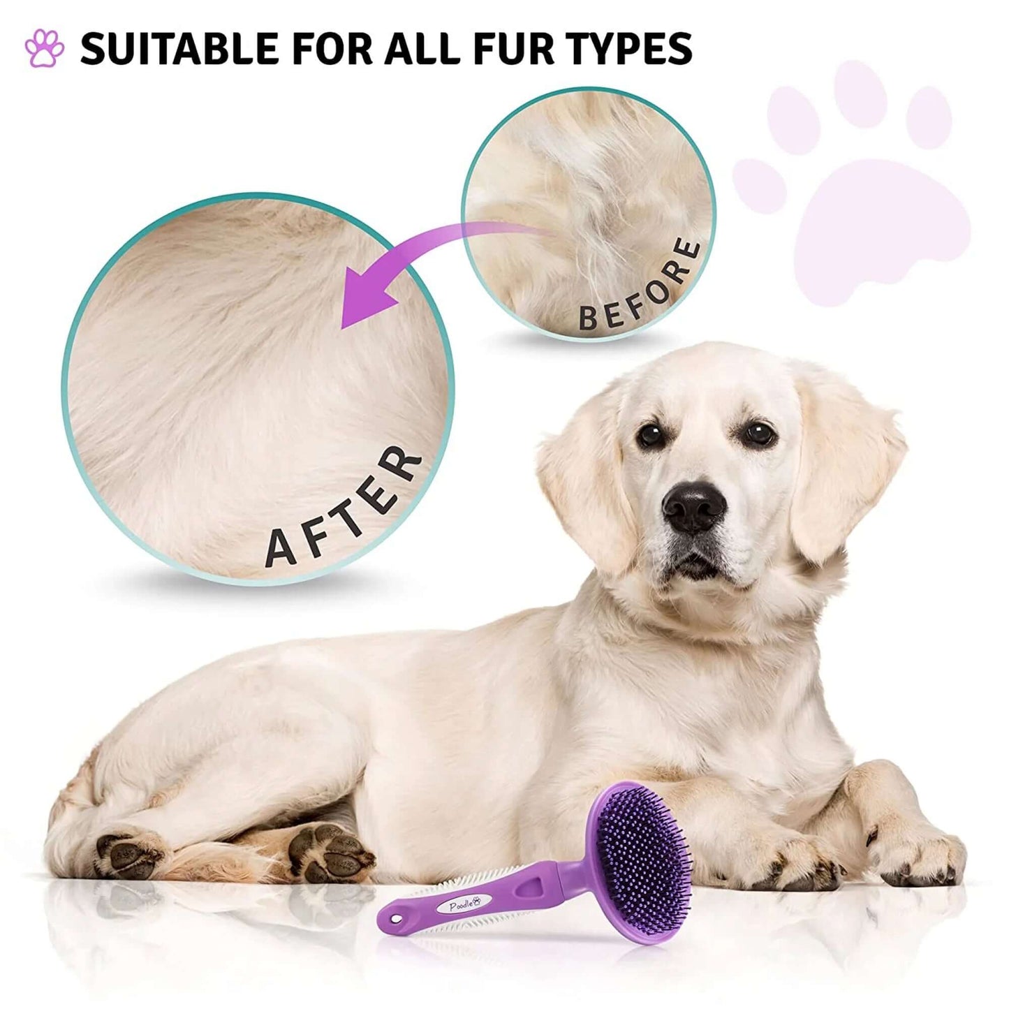 round Soft Bristle Hair Brush Pet Grooming Tool for Dogs & Cats, Purple