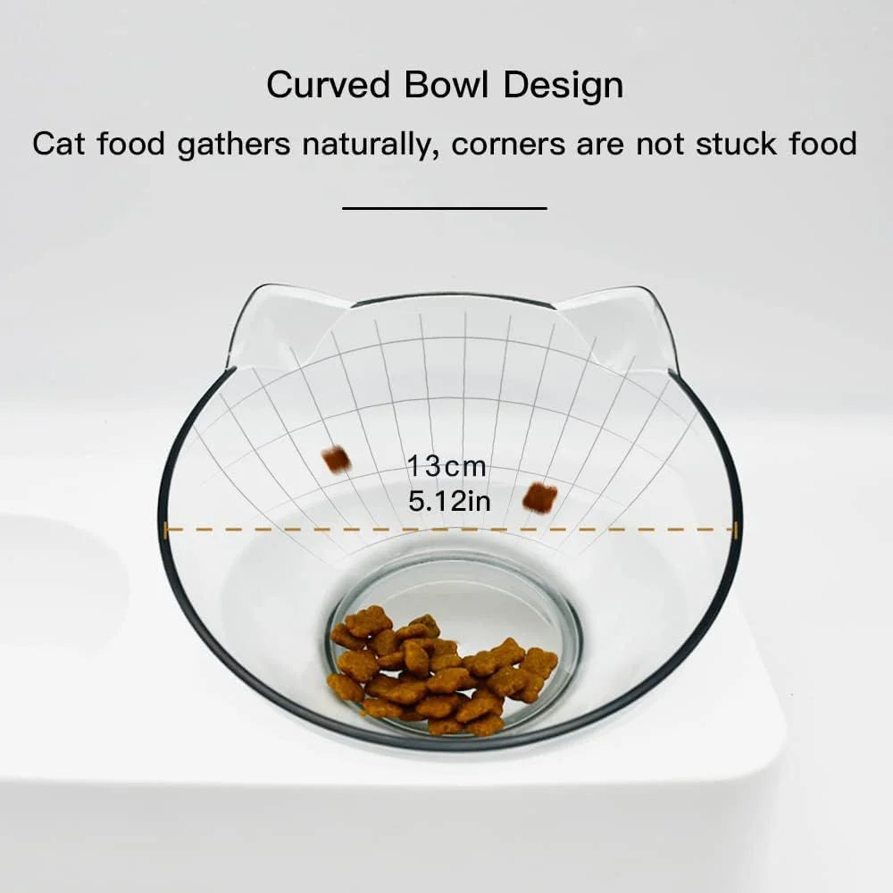 Tilted Raised Cat Food Bowl and Gravity Water Bottle with Feeding Mat