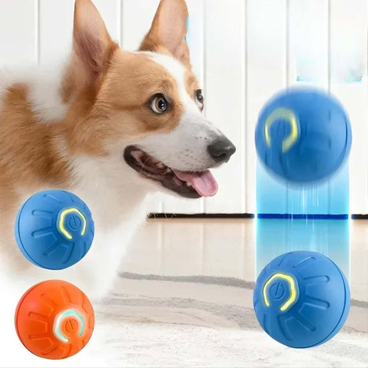 USB Interactive Moving Toy